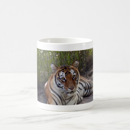 Bengalische Tasse des Tiger-003 (Mittel)