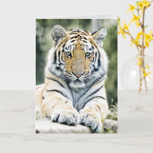 BENGALISCHE TIGER ART BIRTHDAY GREETING CARDS KARTE (Gelbe Blume)