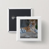 Bengalische Tiger Button (Vorne & Hinten)