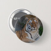 Bengalische Tiger Button (Vorne & Hinten)