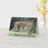 Bengalische Tiger Grußkarte Karte (Gelbe Blume)