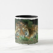 Bengalische Tiger-Kaffee-Tasse Tasse (Zentrum)