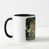Bengalische Tiger-Kaffee-Tasse Tasse (Links)