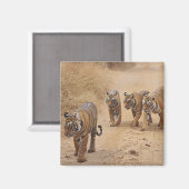 Bengalische Tiger Magnet (Vorderseite/Rückseite)