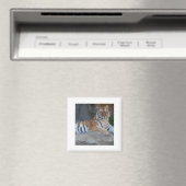 Bengalische Tiger Magnet (In Situ (Geschirrspüler))