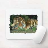 Bengalische Tiger-Mausunterlage Mousepad (Mit Mouse)