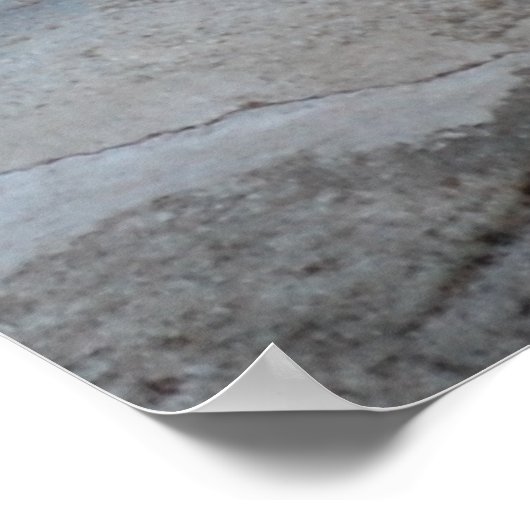 Bengalische Tiger Poster (Ecke)