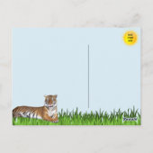 Bengalische Tiger Postkarte (Rückseite)