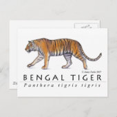 Bengalische Tiger Postkarte (Vorne/Hinten)