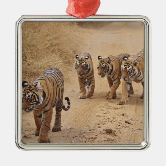 Bengalische Tiger Silbernes Ornament (Vorne)