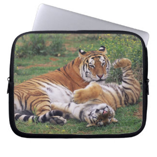 Bengalische Tiger spielen Laptopschutzhülle
