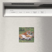 Bengalische Tiger spielen Magnet (In Situ (Geschirrspüler))