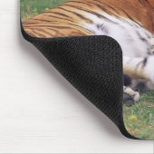 Bengalische Tiger spielen Mousepad (Ecke)