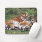 Bengalische Tiger spielen Mousepad (Mit Mouse)