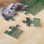 Bengalische Tiger spielen Puzzle (Seite)