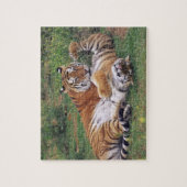 Bengalische Tiger spielen Puzzle (Vertikal)