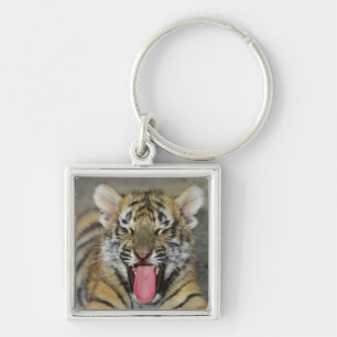 Bengalischer gähnender Tiger Schlüsselanhänger