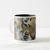 Bengalischer gähnender Tiger Zweifarbige Tasse (Vorderseite Links)