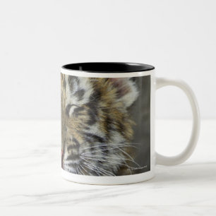 Bengalischer gähnender Tiger Zweifarbige Tasse