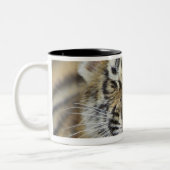 Bengalischer gähnender Tiger Zweifarbige Tasse (Links)