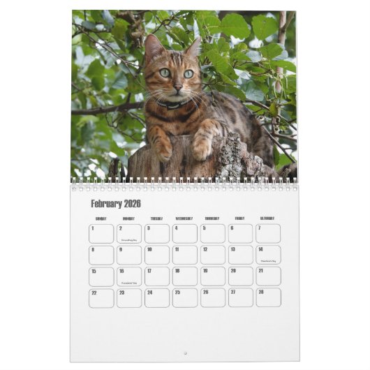 Bengalischer Kalender (Feb 2026)