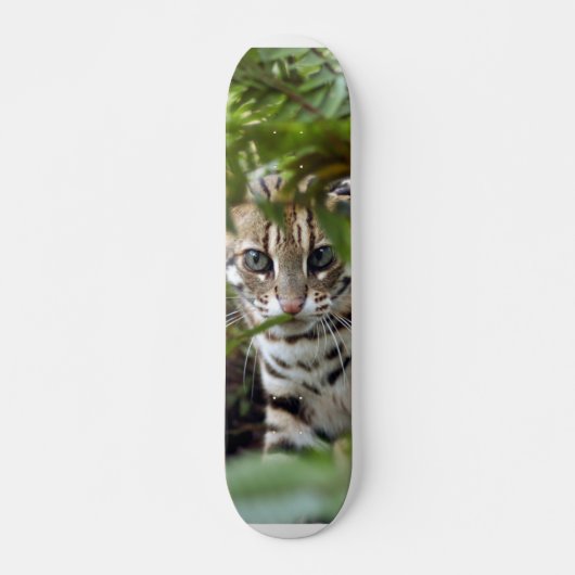 Bengalischer Katze022 Skateboard (Vorne)