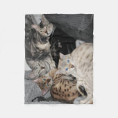 Bengalischer Katzekitty-Stapel Fleecedecke (Vorderseite)
