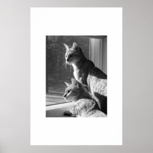 Bengalischer Katzen-Stiel Poster