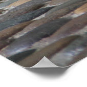 Bengalischer, müde weißer Tiger auf dem Boden Poster (Ecke)