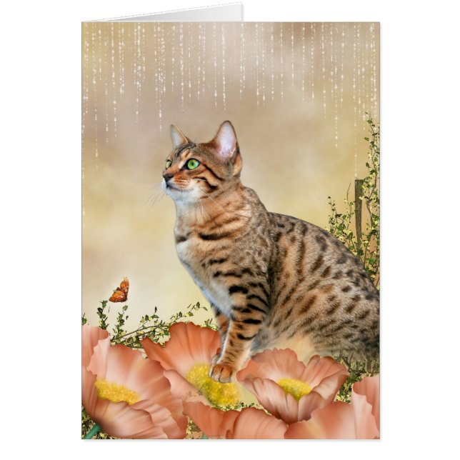 Bengalischer Regentag (Vorne)