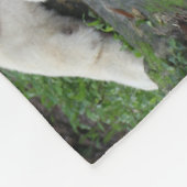 Bengalischer Schwarzweiss-Tiger entspannt und Fleecedecke (Ecke)