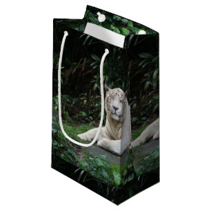 Bengalischer Schwarzweiss-Tiger entspannt und Kleine Geschenktüte