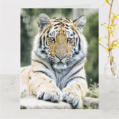 BENGALISCHER TIGER ART GEBURTSTAG ÜBERSIEGTE GREET KARTE (Gelbe Blume)