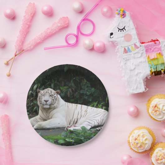 Bengalischer Tiger aus Schwarz und Weiß entspannt Pappteller (Party)