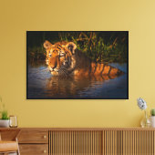 Bengalischer Tiger, der dich vom Wasser aus gesehe Leinwanddruck (Insitu (Wohnzimmer))