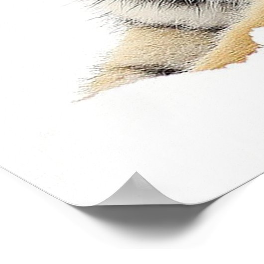 Bengalischer Tiger, der Sie vom Schnee aus beobach Poster (Ecke)