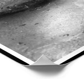 Bengalischer Tiger-Druck in Weiß und Schwarz Poster (Ecke)