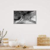 Bengalischer Tiger-Druck in Weiß und Schwarz Poster (Küche)