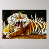 Bengalischer Tiger Gaspedal 1 Poster (Vorne)