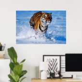 Bengalischer Tiger im Ozean Poster (Heimbüro)