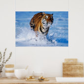 Bengalischer Tiger im Ozean Poster (Küche)
