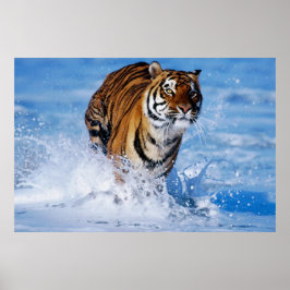 Bengalischer Tiger im Ozean Poster