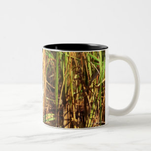 Bengalischer Tiger in den Feuchtgebieten Zweifarbige Tasse
