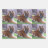 Bengalischer Tiger - Jedem Anlass-Wrapping Paper S Geschenkpapier Set (Vorderseite 2)