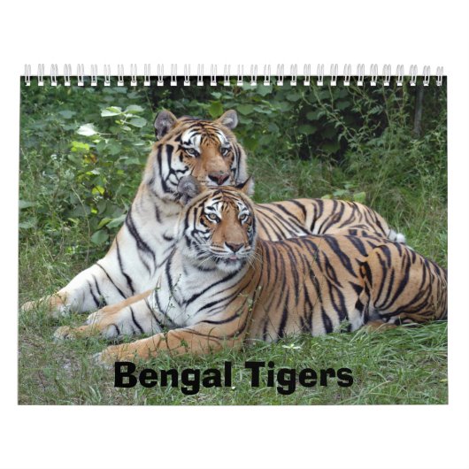 Bengalischer Tiger-Kalender, bengalische Tiger Kalender (Titelbild)