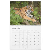 Bengalischer Tiger-Kalender, bengalische Tiger Kalender (Jan 2026)