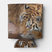 Bengalischer Tiger kann kühlen Dosenkühler (Vorderseite)
