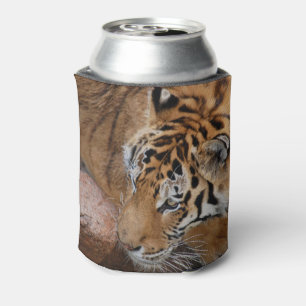 Bengalischer Tiger kann kühlen Dosenkühler
