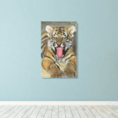 Bengalischer Tiger Leinwanddruck (Insitu (Holzboden))