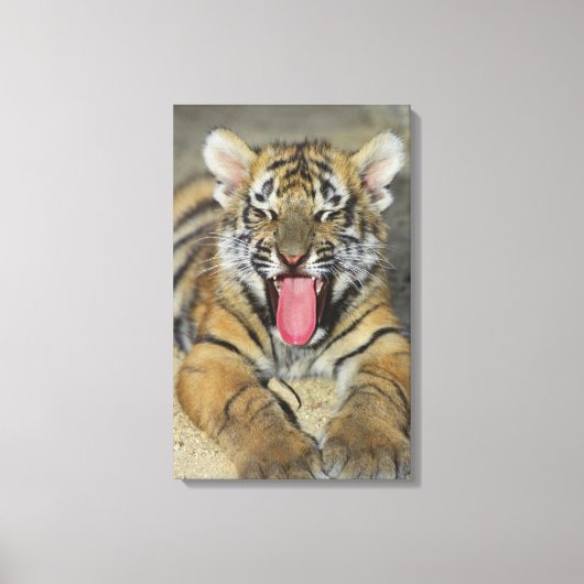 Bengalischer Tiger Leinwanddruck (Vorderseite)